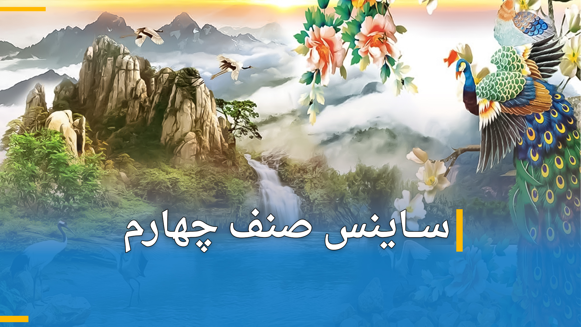 ساینس صنف چهارم (بخش دوم)