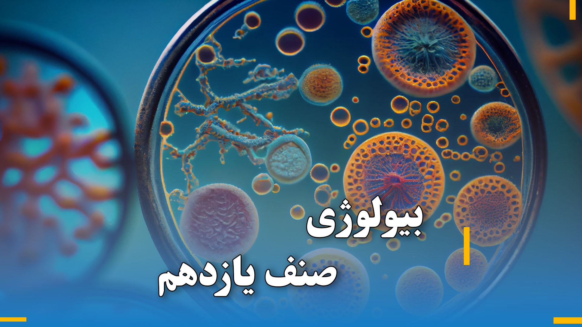 بیولوژی صنف یازدهم